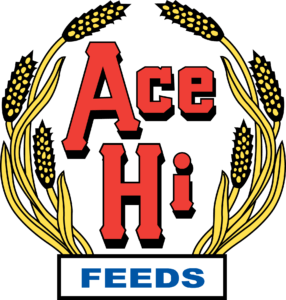 AceHi-logo-xxl.png